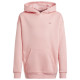 Adidas Παιδικό φούτερ Graphic Hoodie Kinds